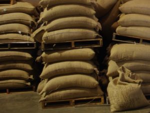 Coffee Beans in Jute