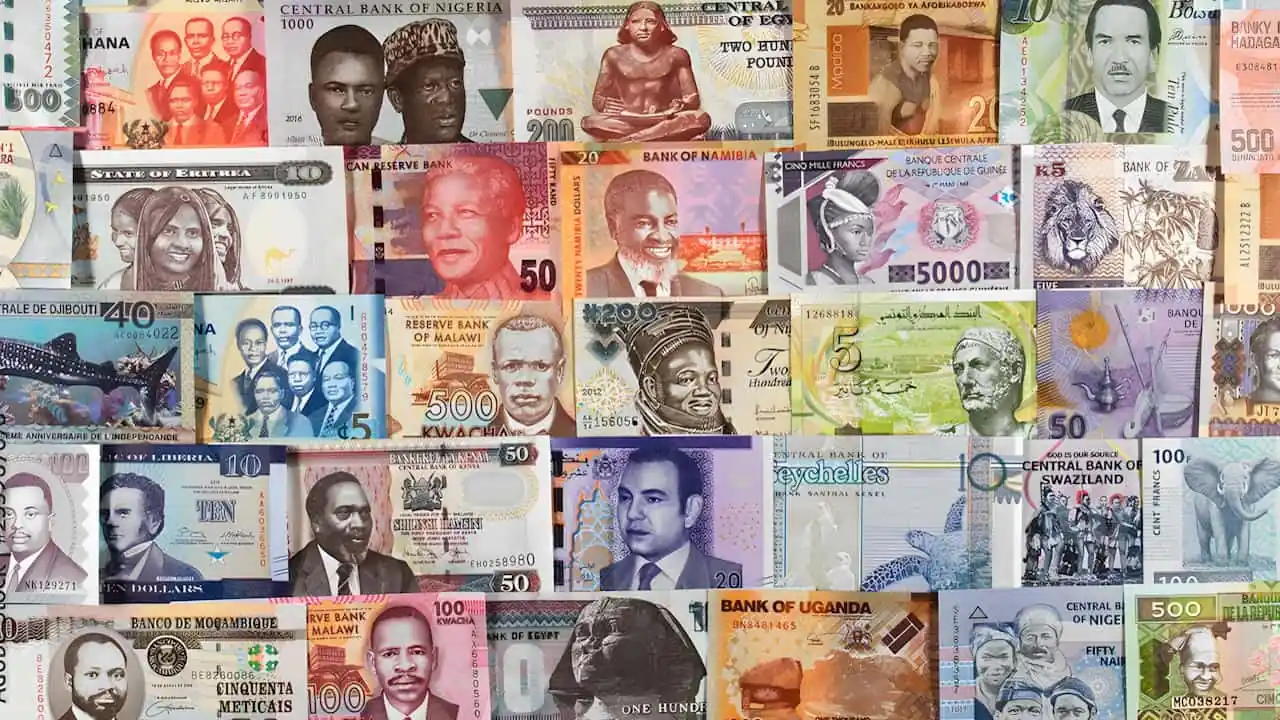 Various currency notes of African countries are seen in this photo
