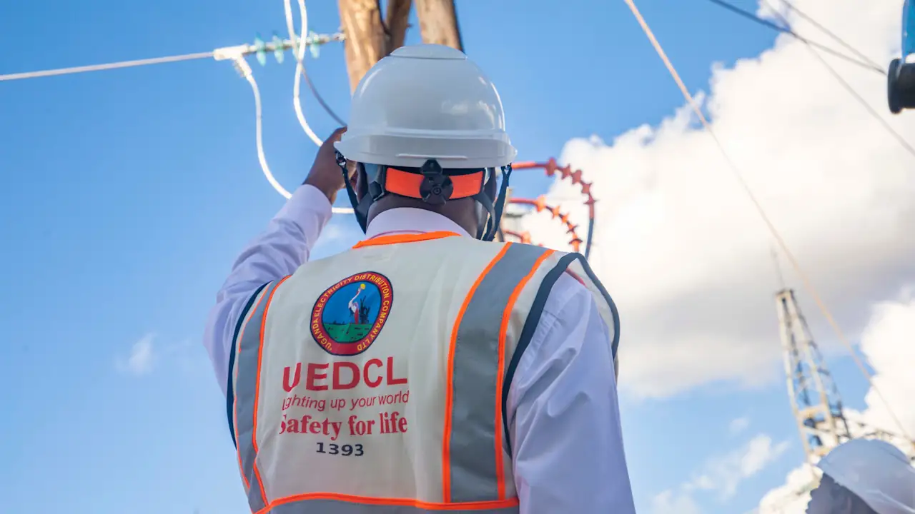 A man looking up at an electric pole, with his back to the camera